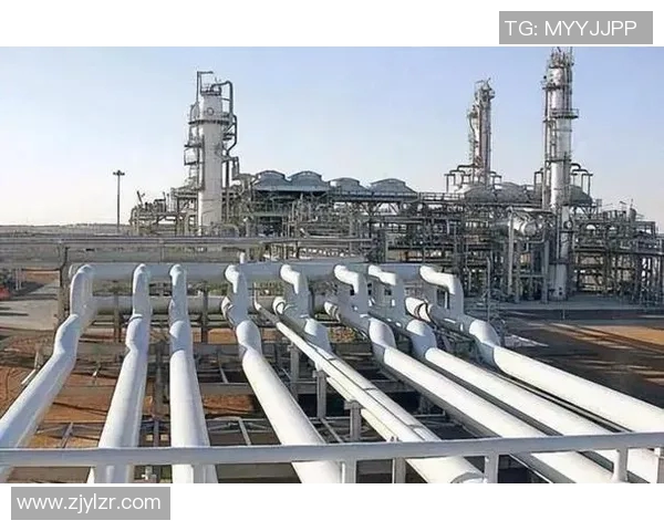 中国与尼西亚的历史交汇与未来合作展望分析